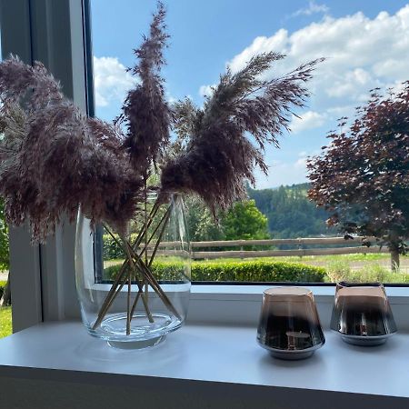 Ferienwohnung Allenberg-Panorama Winterberg Kültér fotó
